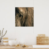 アフリカ象の目のクローズアップ写真 ポスター (キッチン)