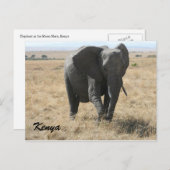 アフリカ象ケニア ポストカード (正面/裏面)