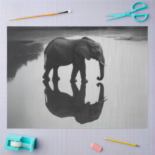 アフリカ象威厳のある象と反射を切り離す 薄葉紙 (クラフト)