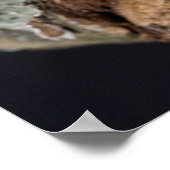 アフリカ赤目ツリガエル・レプトペリス ポスター (角)