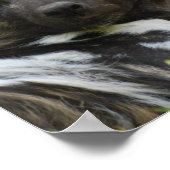 アフリカ野犬ポスター ポスター (角)