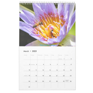 アフリカ野生動物カレンダー2025 カレンダー