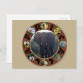 アフリカ野生動物サークルゾウの霧 ポストカード (正面/裏面)