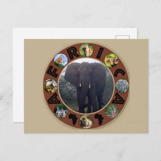 アフリカ野生動物サークルゾウの霧 ポストカード (正面/裏面)