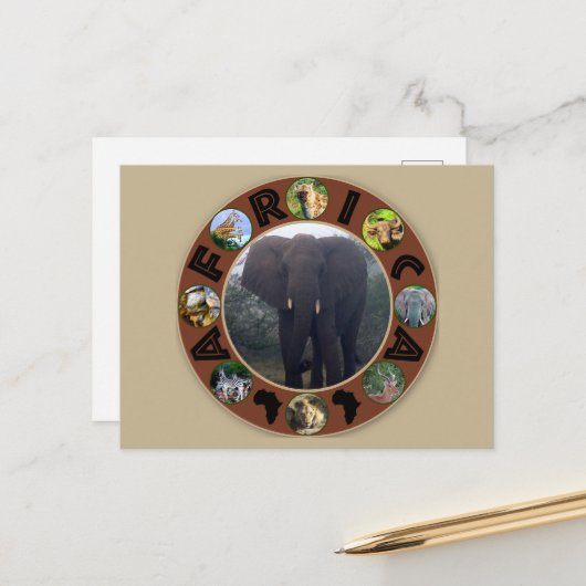 アフリカ野生動物サークルゾウの霧 ポストカード (正面/裏面インサイチュ)