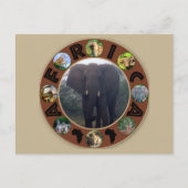 アフリカ野生動物サークルゾウの霧 ポストカード (正面)