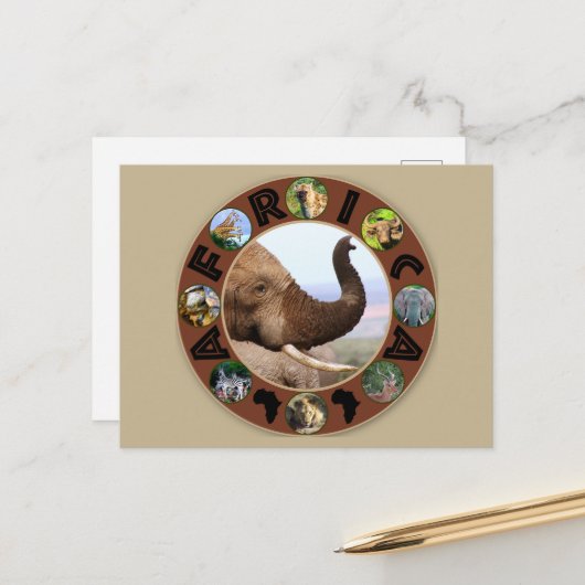 アフリカ野生動物サークルゾウの香り ポストカード (正面/裏面インサイチュ)