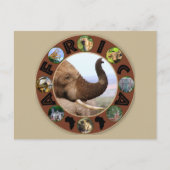 アフリカ野生動物サークルゾウの香り ポストカード (正面)