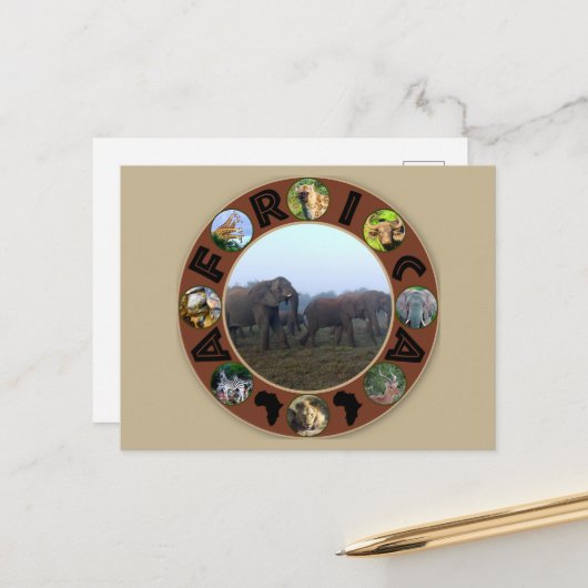 アフリカ野生動物サークルゾウ群の霧 ポストカード (正面/裏面インサイチュ)