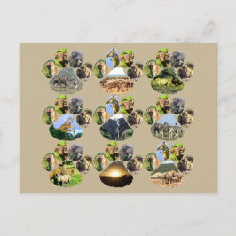 アフリカ野生動物ライオンの絵柄9コラージポストカード ポストカード