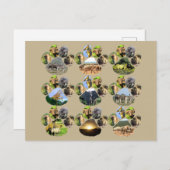 アフリカ野生動物ライオンの絵柄9コラージポストカード ポストカード (正面/裏面)