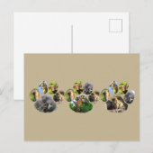 アフリカ野生動物ライオンポープリントのトリプルコラージュ ポストカード (正面/裏面)