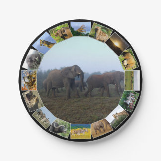 アフリカ野生動物写真コラージゾウ群の霧 ペーパープレート