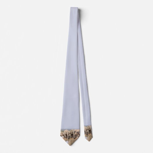 アフリカ野生動物写真象社会 ネクタイ (正面)