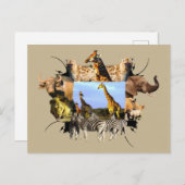 アフリカ野生動物枠キリン群 ポストカード (正面/裏面)