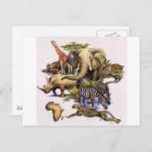 アフリカ野生生物のコンサート ポストカード (正面/裏面)