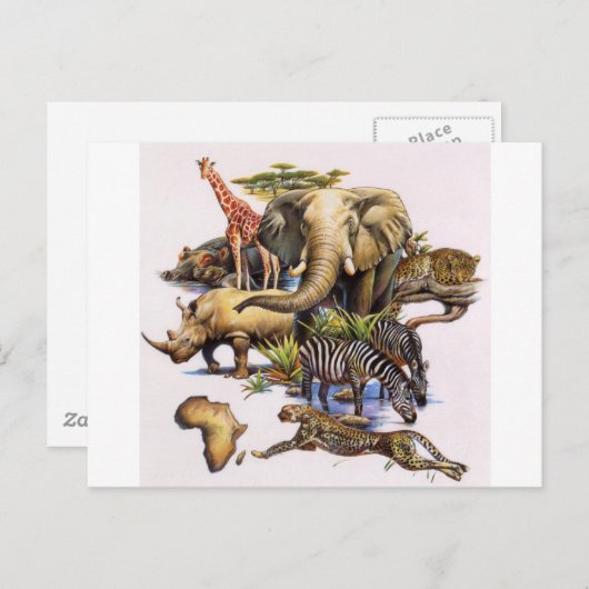 アフリカ野生生物のコンサート ポストカード (正面/裏面)