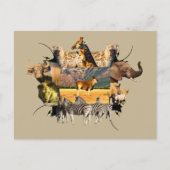 アフリカ野生生物フレームランドマウンテン ポストカード (正面)