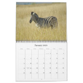 アフリカ野生生物ベビー暦 カレンダー (1月 2026)