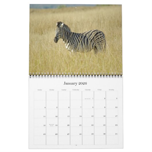 アフリカ野生生物ベビー暦 カレンダー (1月 2026)