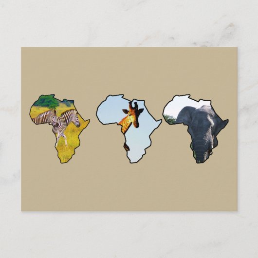 アフリカ野生生物大陸トリオ野生生物写真 シーズンポストカード (正面)