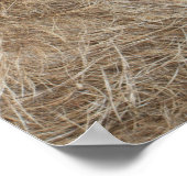 アフリカ野生生物 ポスター (角)