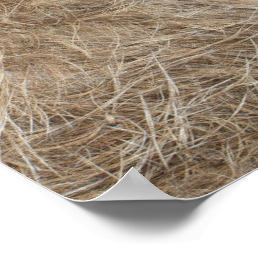 アフリカ野生生物 ポスター (角)