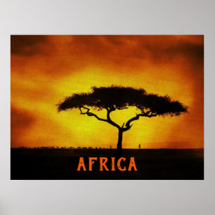 アフリカ風景アカシアツリー ポスター