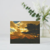 アフリカ飛行機はがき ポストカード (スタンド正面)