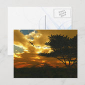 アフリカ飛行機はがき ポストカード (正面/裏面)