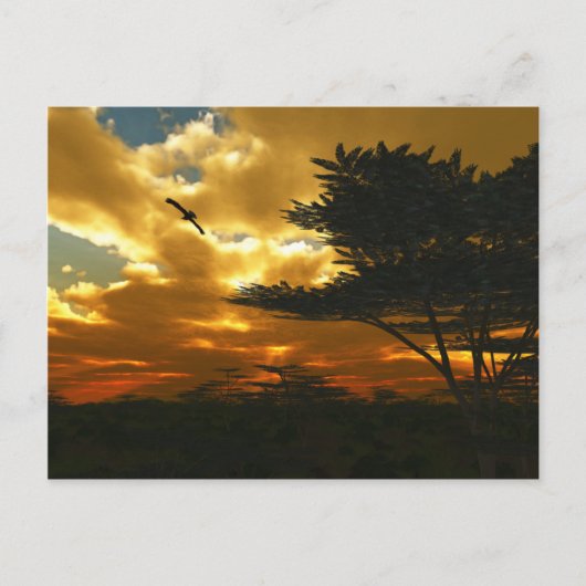 アフリカ飛行機はがき ポストカード (正面)