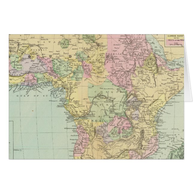 アフリカ12 (正面横)