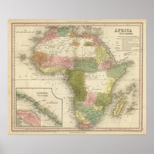 アフリカ13 ポスター (正面)