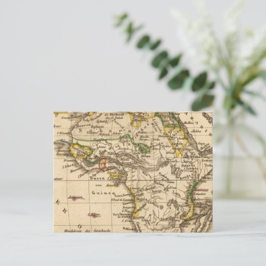 アフリカ16 ポストカード (スタンド正面)