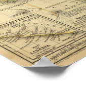 アフリカ18 ポスター (角)