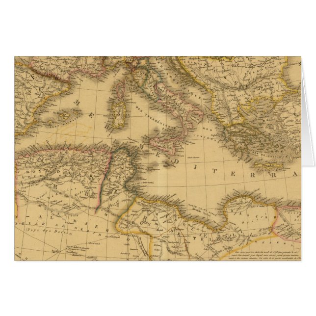 アフリカ20 (正面横)