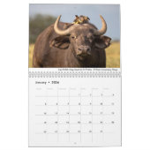 アフリカ2020野生生物 カレンダー (1月 2026)