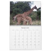 アフリカ2025 カレンダー (1月 2026)