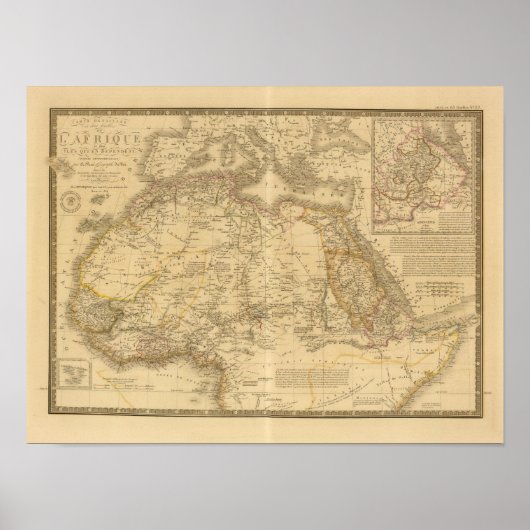 アフリカ20 ポスター (正面)