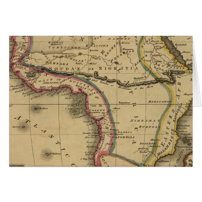 アフリカ30 (正面横)