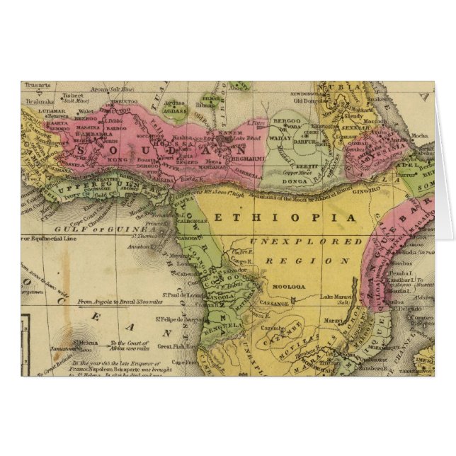 アフリカ33 (正面横)