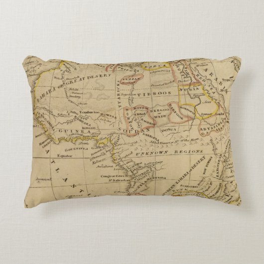 アフリカ4 アクセントクッション (正面)