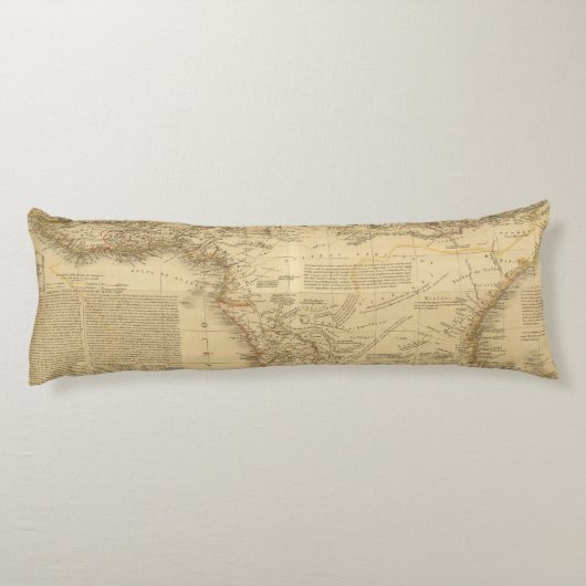 アフリカ5 ボディピロー (裏面)