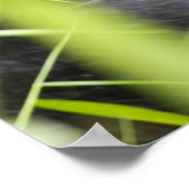 アフリカ、ウガンダ、ブウィンディ不可侵国家 ポスター (角)