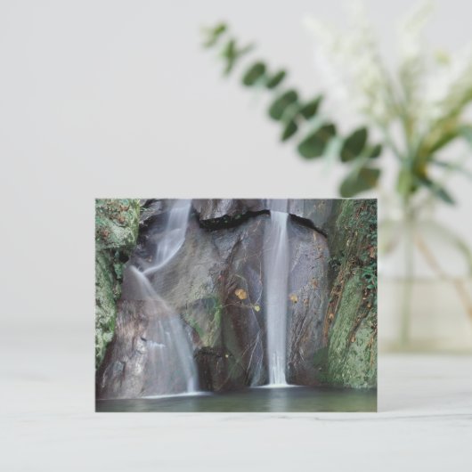 アフリカ、ウガンダ、ブウィンディ原生林、 ポストカード (スタンド正面)