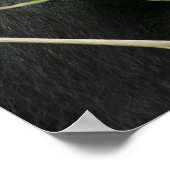 アフリカ、ウガンダ、ブウィンディ ポスター (角)