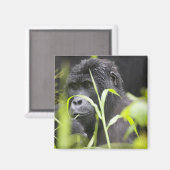 アフリカ・ウガンダ、ブウィンディ マグネット (正面/裏面)