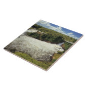 アフリカ、ウガンダ、ムルチソン秋NP.ザフロシー タイル (側面)