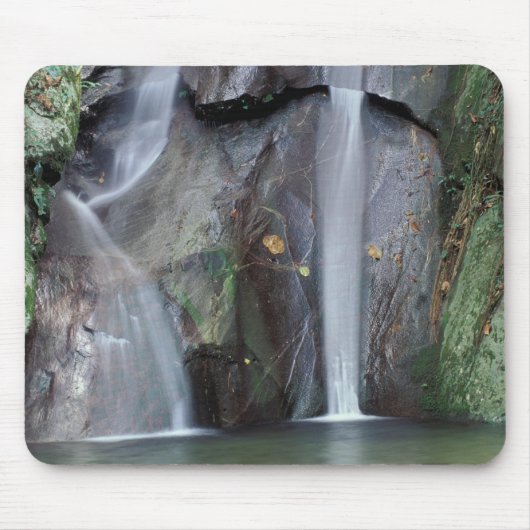 アフリカ、ウガンダ、Bwindi Inpentable Rainforest、 マウスパッド (正面)