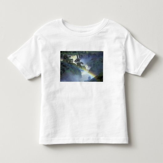 アフリカ, エチオピア, 青ナイル川, 滝 トドラーTシャツ (正面)